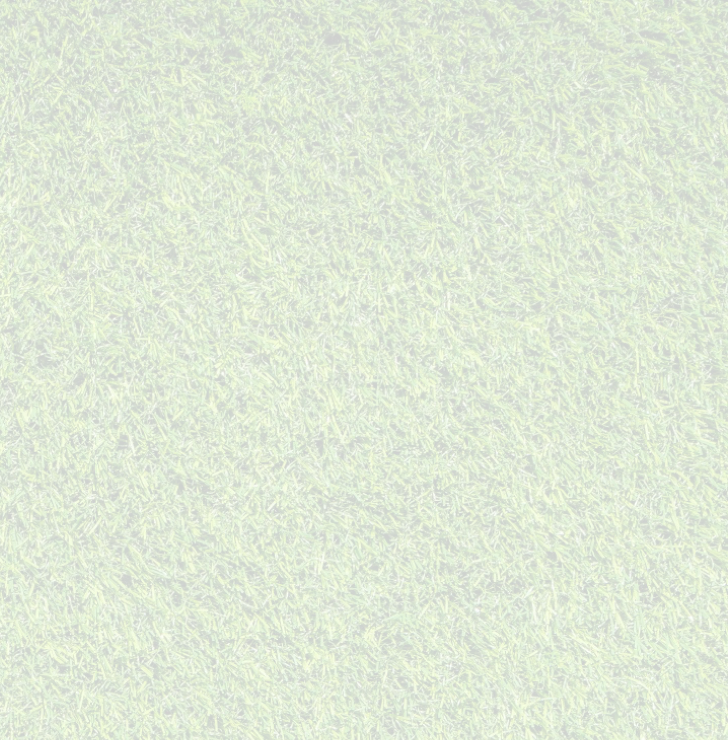 Lawn Builder BG Text In About Page