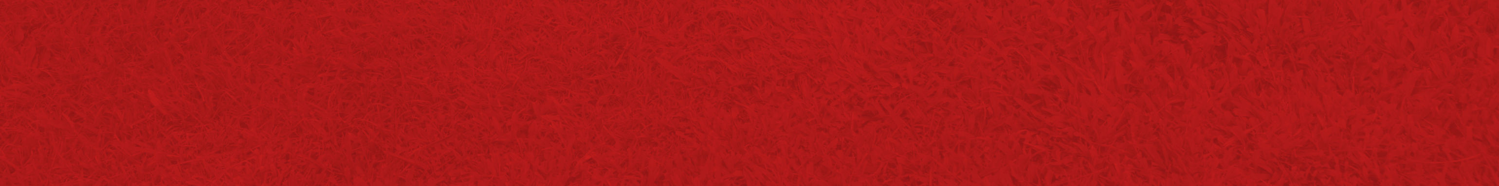 Lawn Builder BG Text In About Page